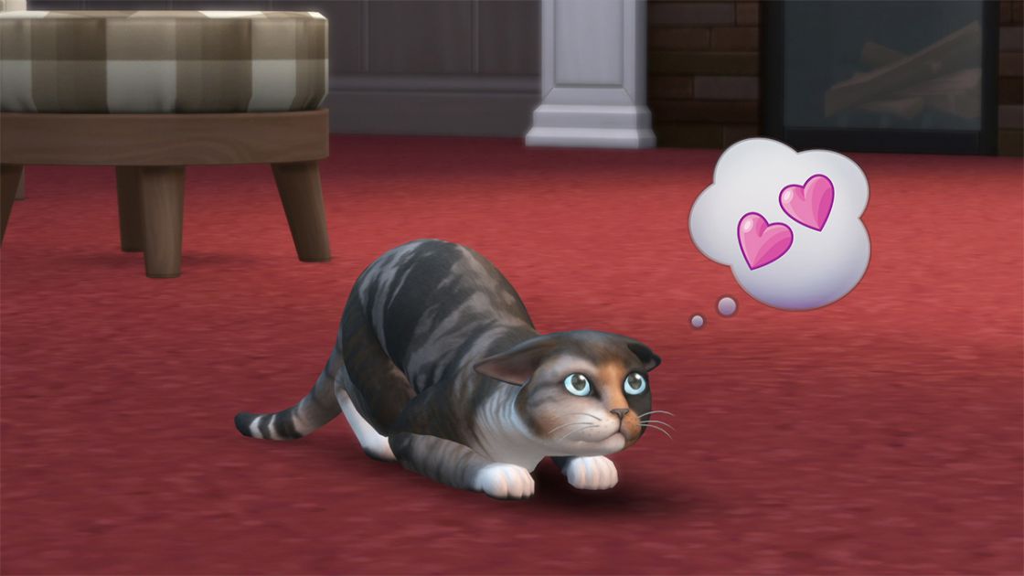 Sims 4 - Honden en Katten screenshot 9