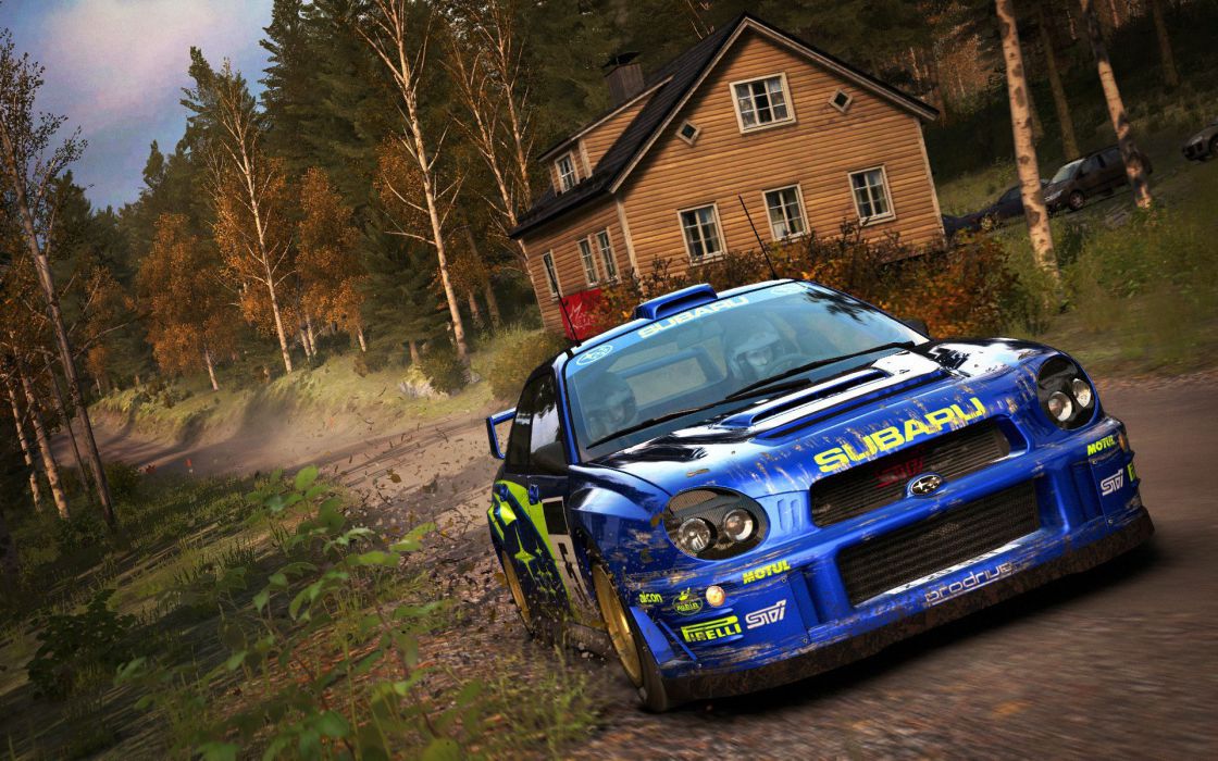 DiRT Rally (Legend Edition) screenshot 5