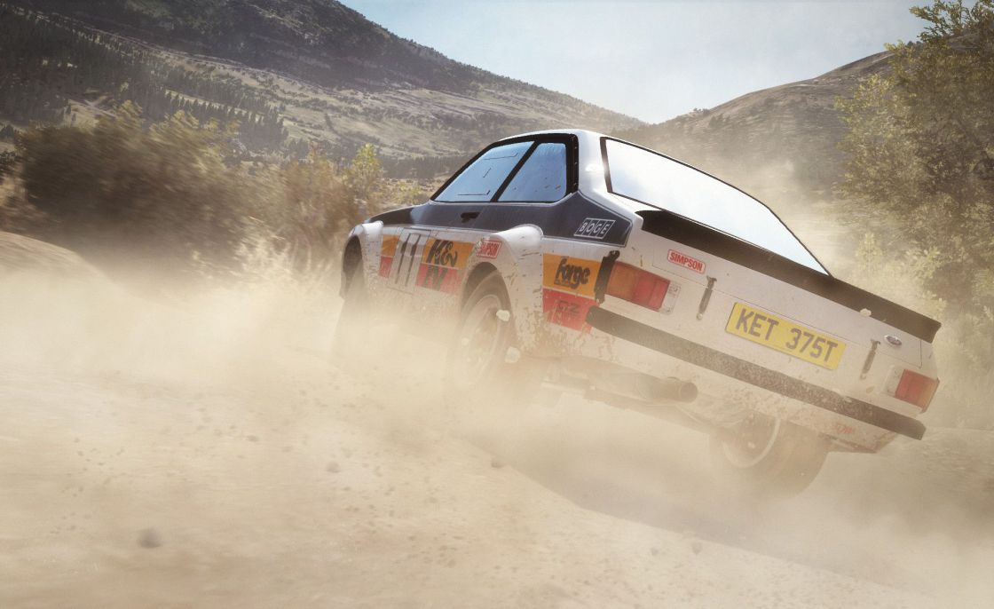 DiRT Rally (Legend Edition) screenshot 25