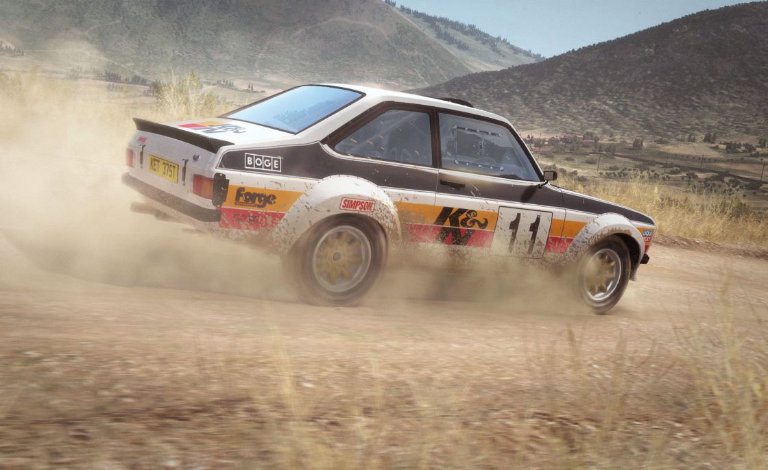 DiRT Rally (Legend Edition) screenshot 12
