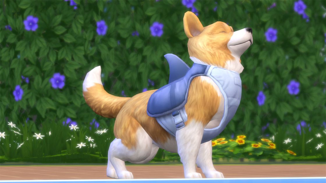 Sims 4 - Honden en Katten screenshot 8