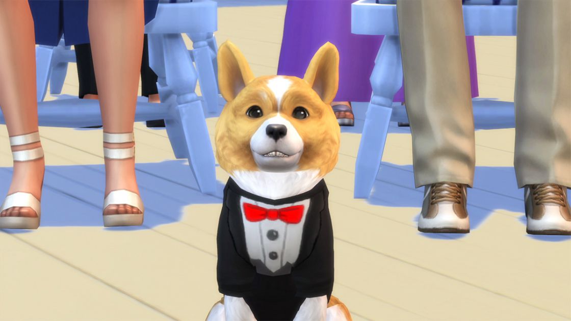 Sims 4 - Honden en Katten screenshot 7