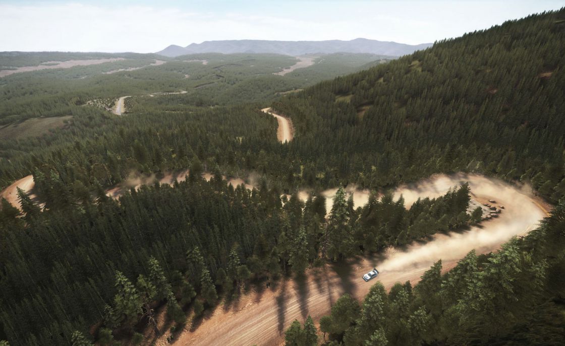 DiRT Rally (Legend Edition) screenshot 21