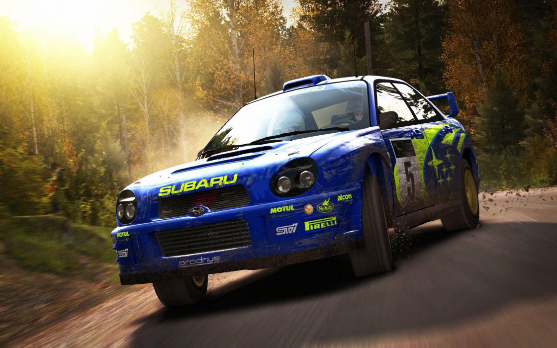 DiRT Rally (Legend Edition) screenshot 31