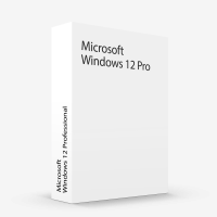 Windows 12 Professional
