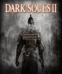 Dark Souls 2 - Season Pass (DLC) (PS4) (France)