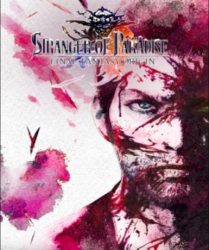 Stranger of Paradise - Final Fantasy Origin (Steam)