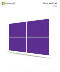 Windows 10 Professional OEM CoA