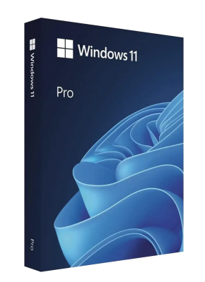 Windows 11 Pro